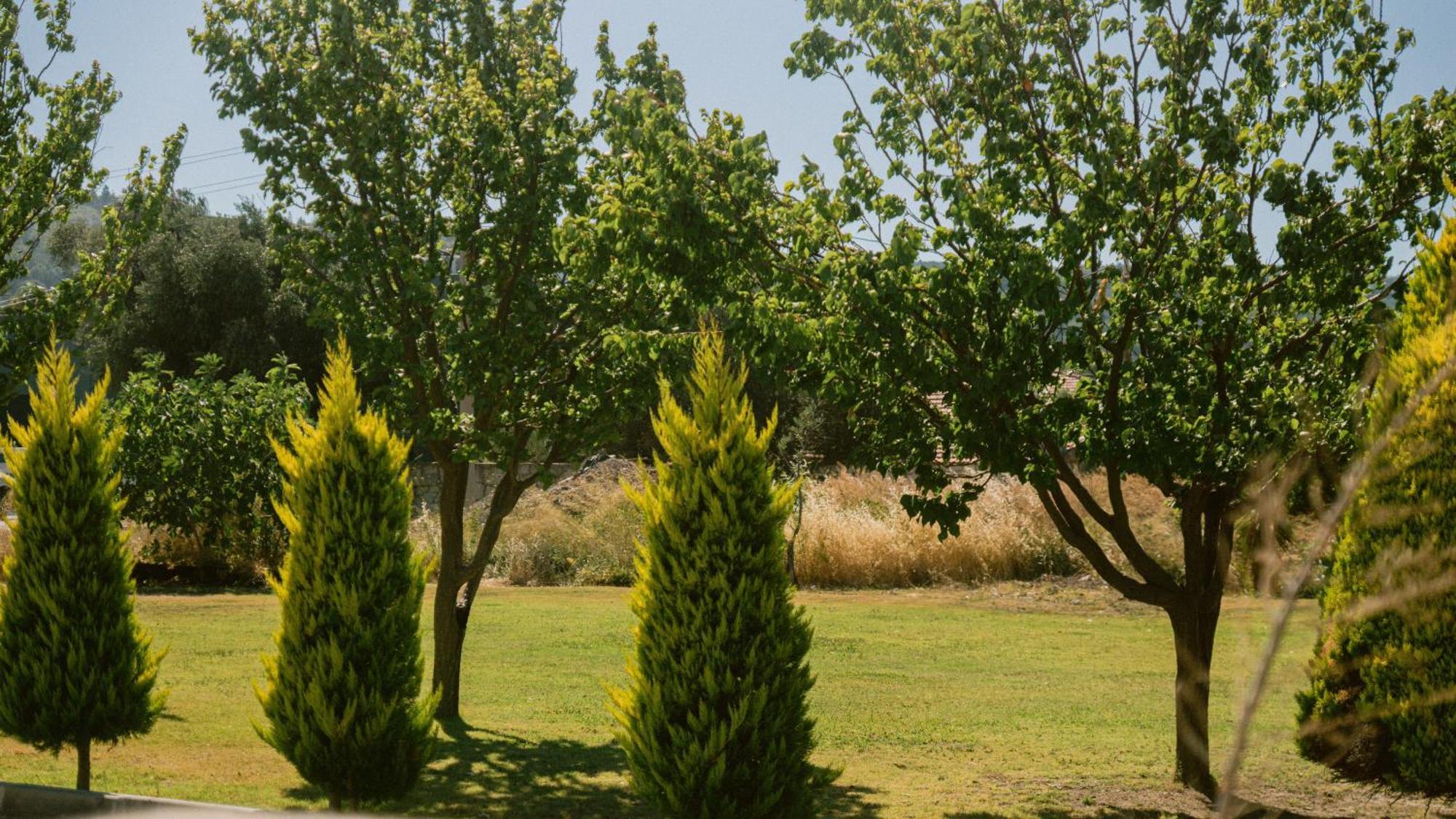 Vela Garden Resort Alaçatı Eksteriør billede